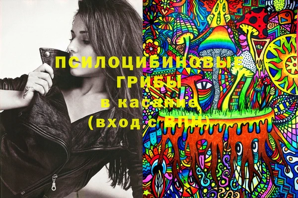 гашик Магас
