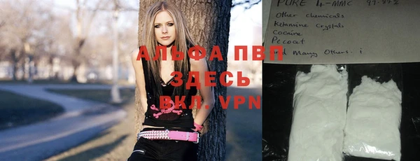 гашик Магас