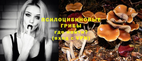 а пвп мука Чердынь