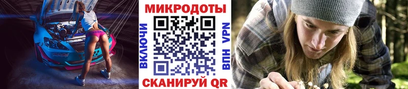 наркошоп  Черноголовка  Псилоцибиновые грибы мухоморы 